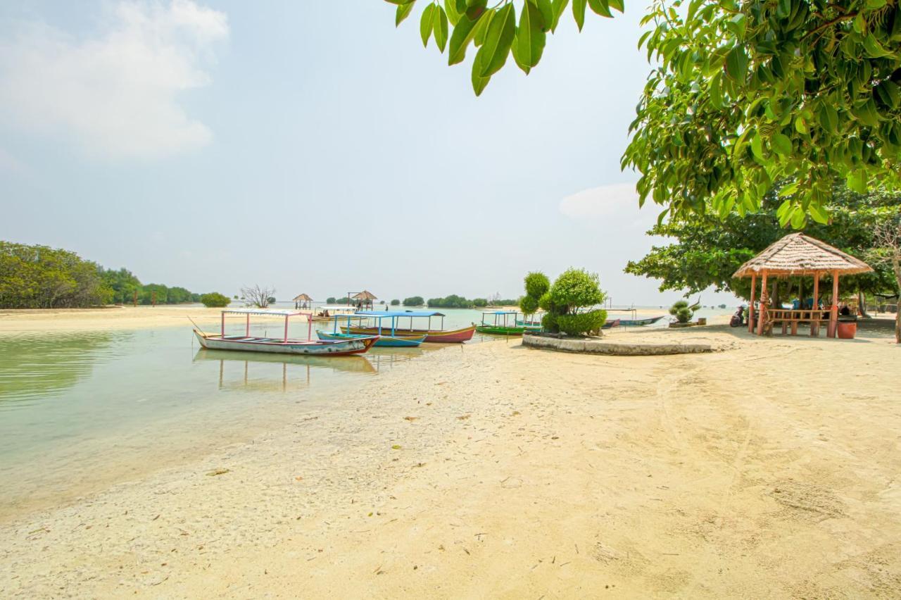 Guerilla Dive Lodge Pulau Pari Cakarta Dış mekan fotoğraf